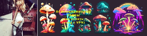 эйфоретик Абинск