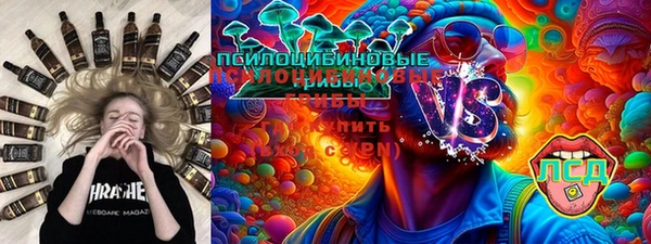 молекула духа Алексин