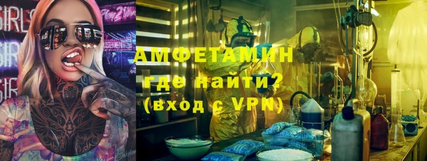 шишки Абаза