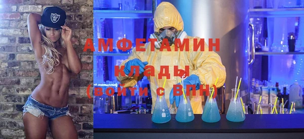 молекула духа Алексин