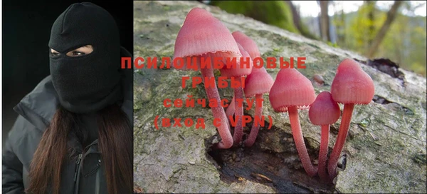 эйфоретик Абинск