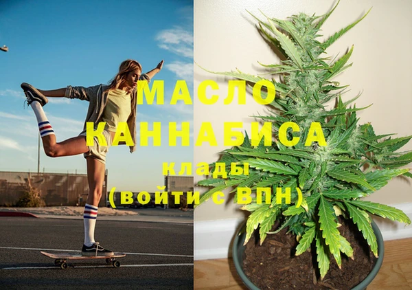 шишки Абаза