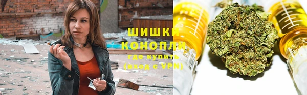 шишки Абаза