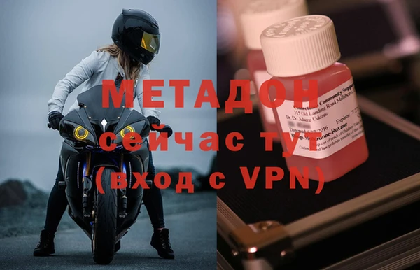 шишки Абаза